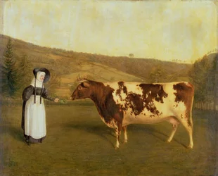 Shorthorn-Kuh, um 1840-50